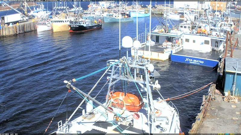 Marginal Wharf North