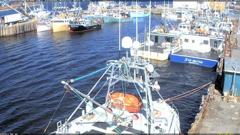 Marginal Wharf North