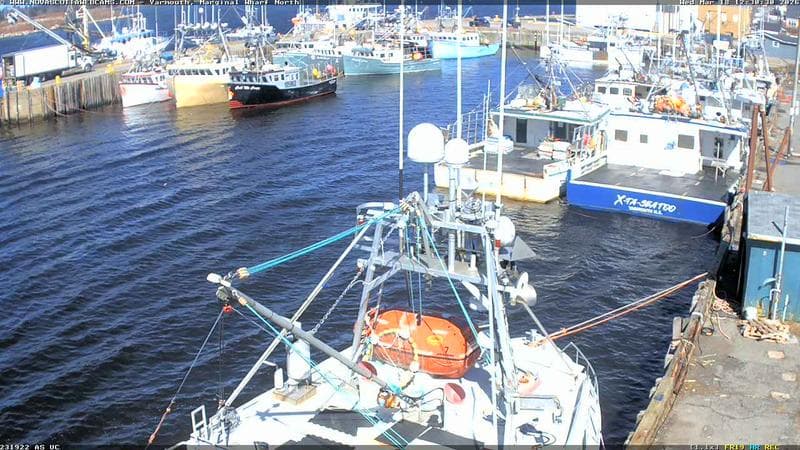 Marginal Wharf North