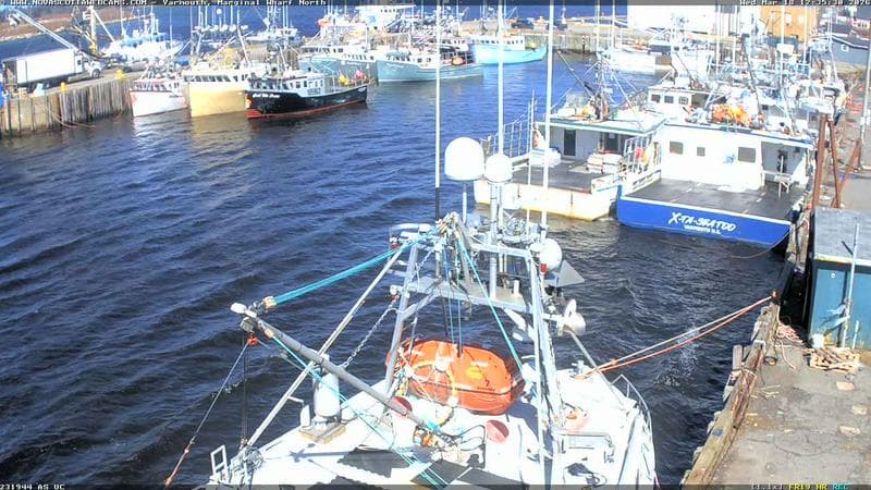 Marginal Wharf North