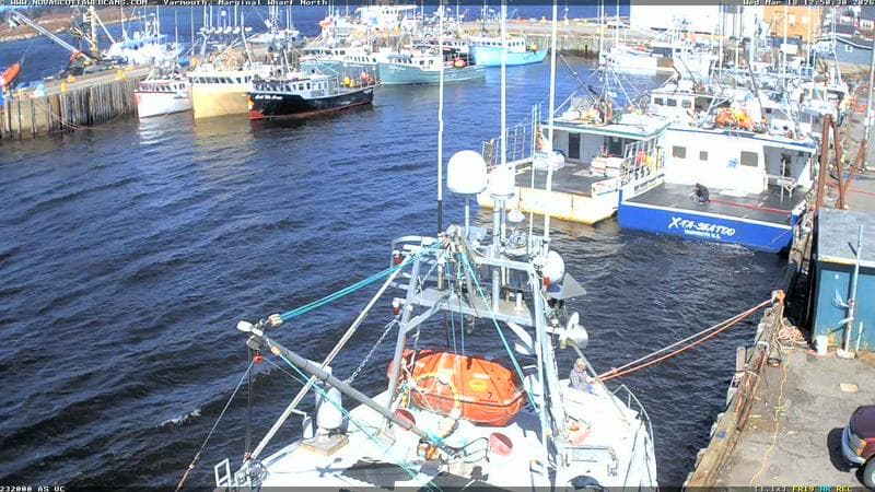 Marginal Wharf North