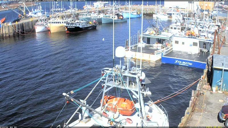 Marginal Wharf North