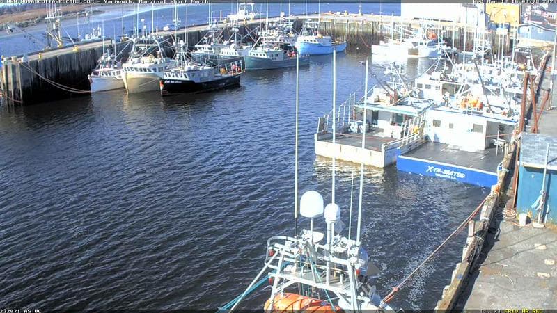 Marginal Wharf North