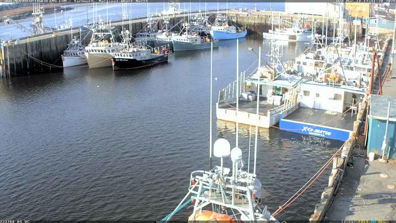 Marginal Wharf North