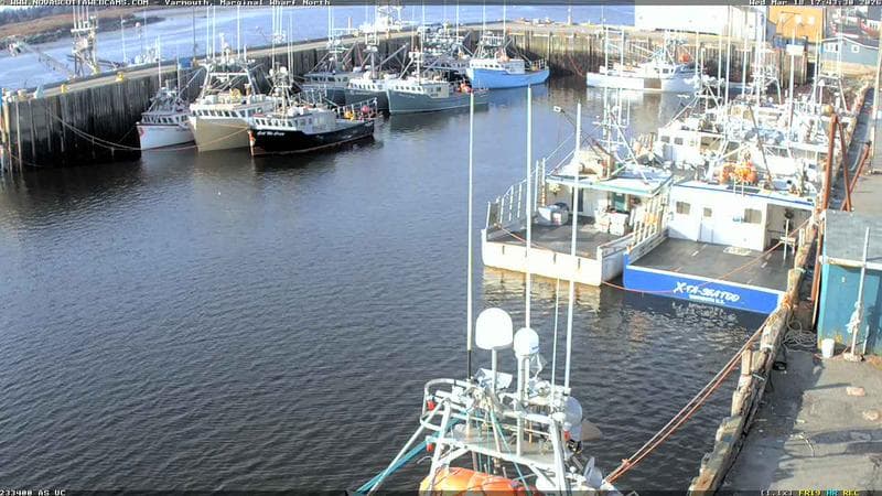 Marginal Wharf North