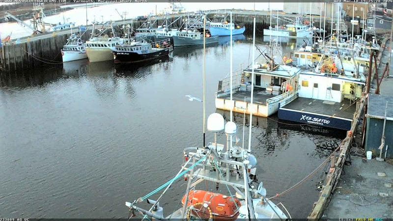 Marginal Wharf North