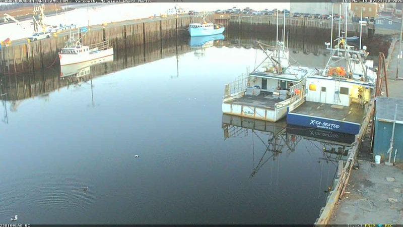 Marginal Wharf North