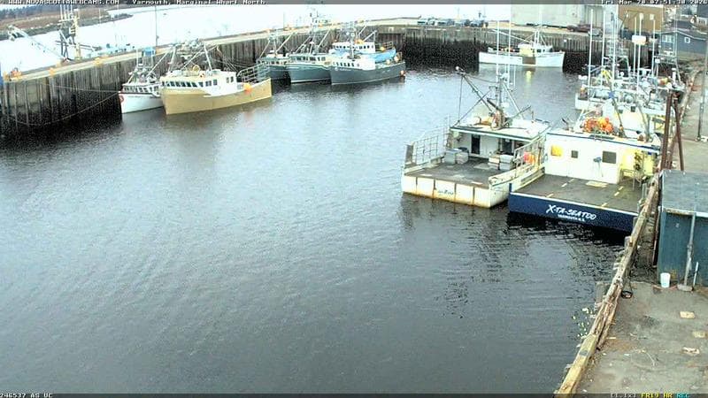 Marginal Wharf North