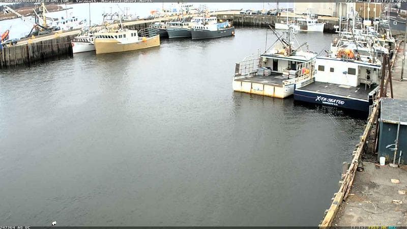 Marginal Wharf North