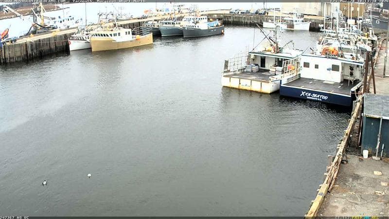 Marginal Wharf North