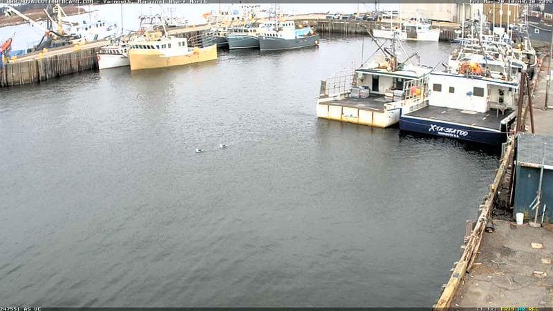 Marginal Wharf North