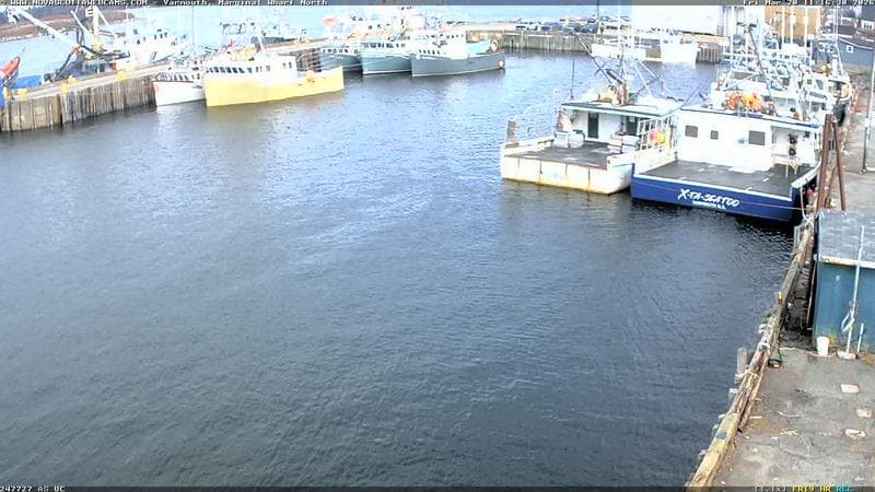 Marginal Wharf North