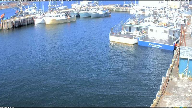 Marginal Wharf North