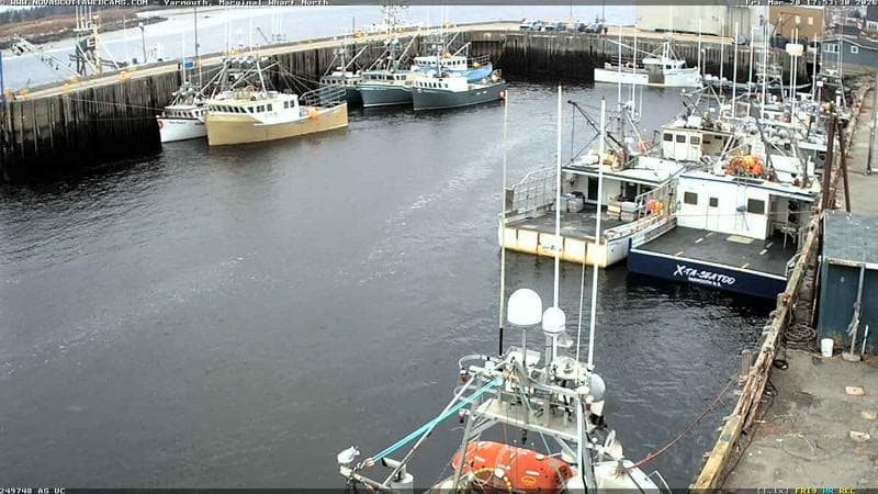 Marginal Wharf North