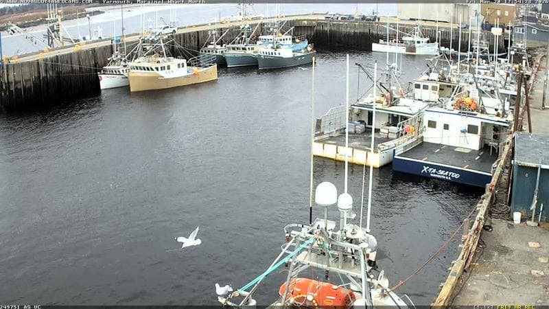 Marginal Wharf North