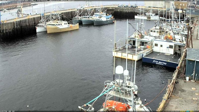 Marginal Wharf North