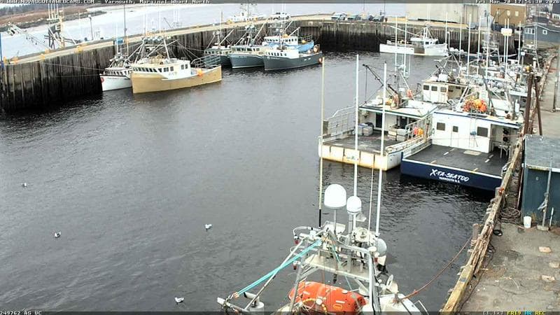 Marginal Wharf North