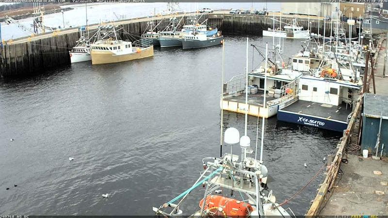 Marginal Wharf North