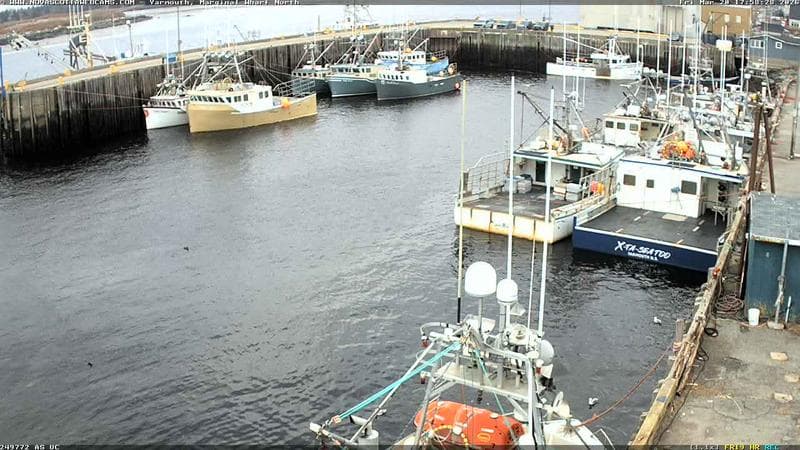 Marginal Wharf North