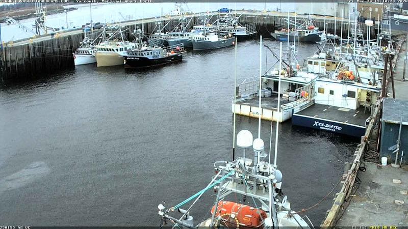 Marginal Wharf North