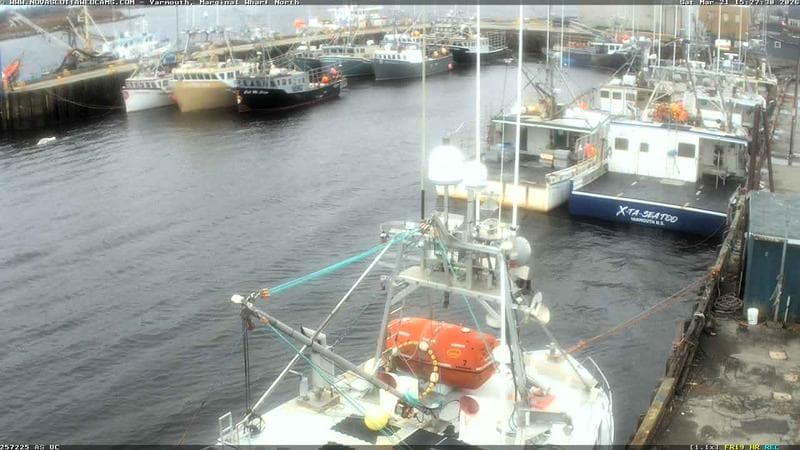 Marginal Wharf North