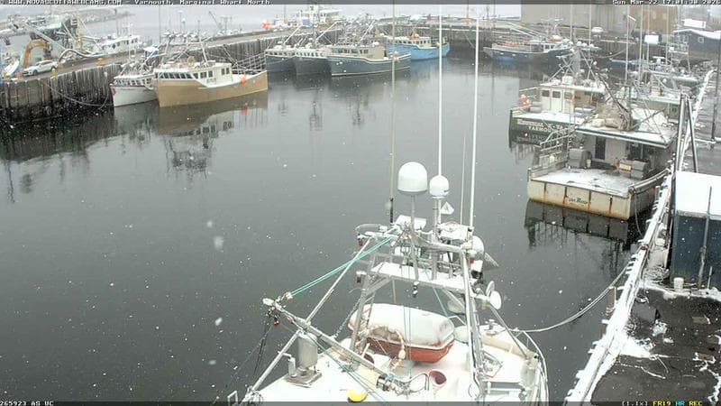 Marginal Wharf North