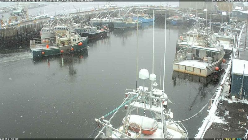 Marginal Wharf North