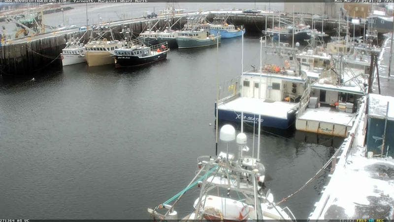 Marginal Wharf North