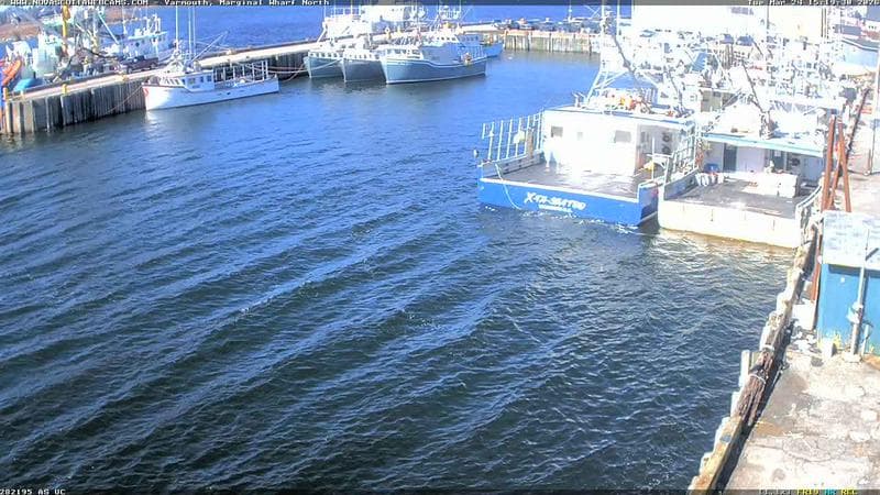 Marginal Wharf North