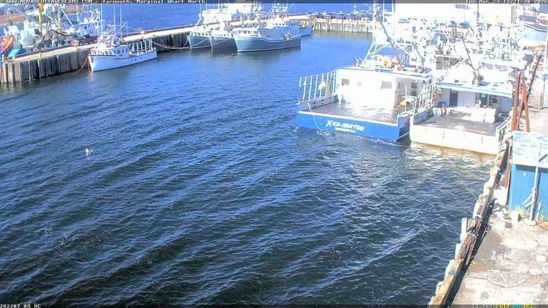 Marginal Wharf North