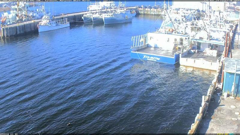 Marginal Wharf North