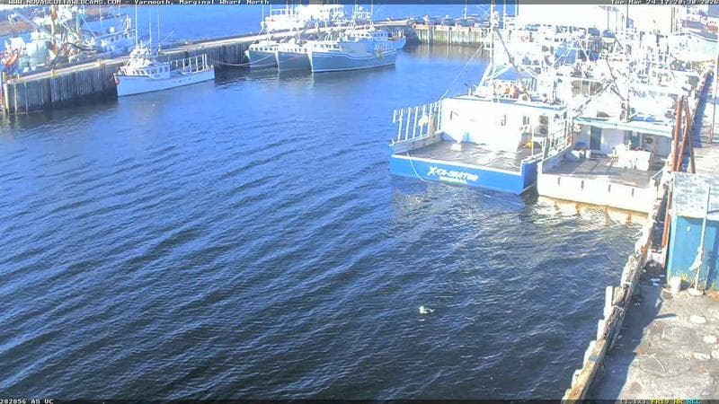 Marginal Wharf North