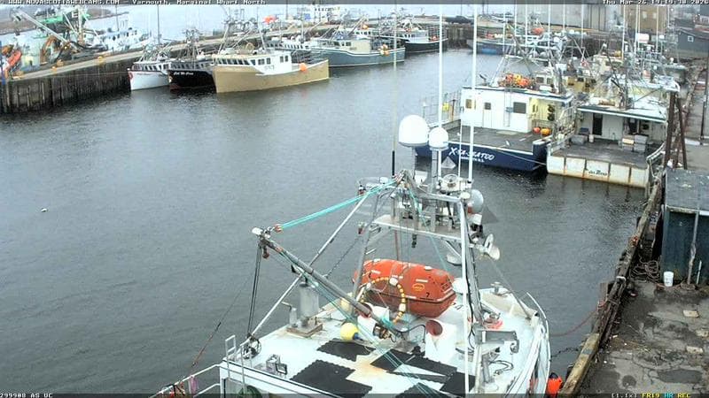 Marginal Wharf North