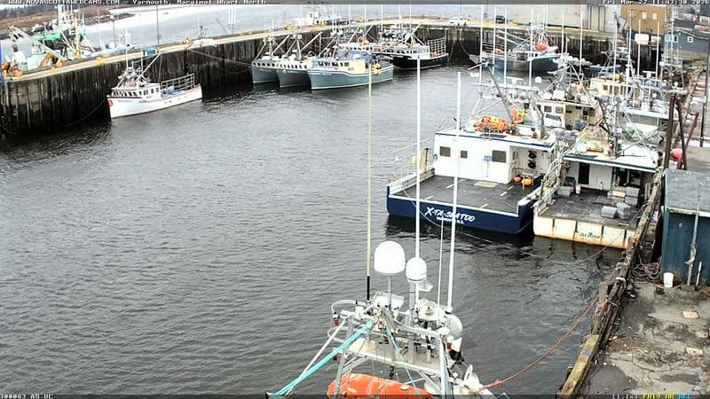 Marginal Wharf North