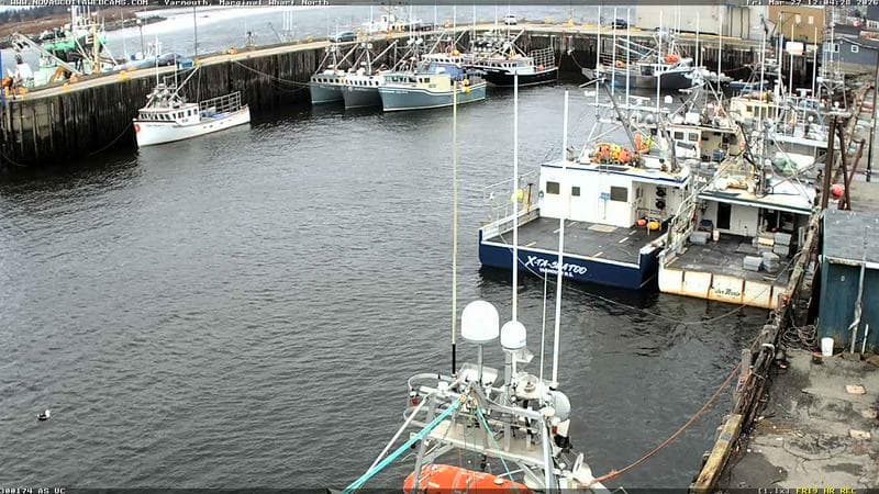 Marginal Wharf North