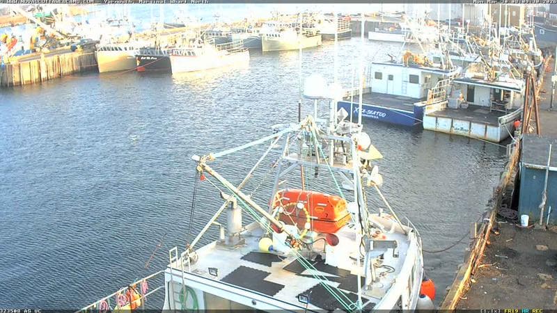 Marginal Wharf North