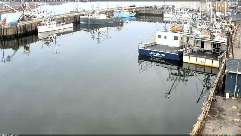 Marginal Wharf North