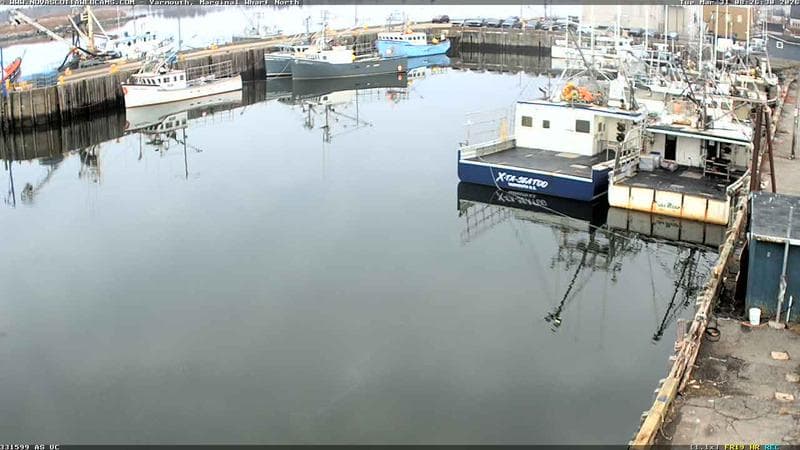 Marginal Wharf North