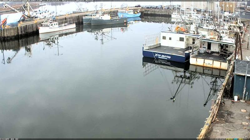 Marginal Wharf North