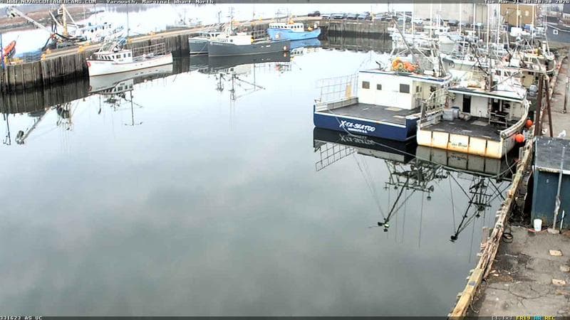 Marginal Wharf North