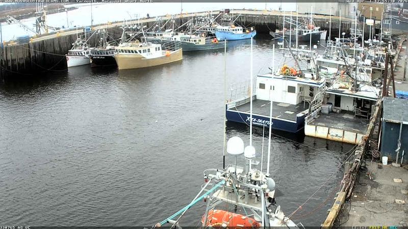 Marginal Wharf North