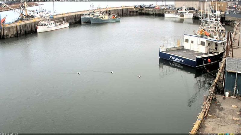 Marginal Wharf North