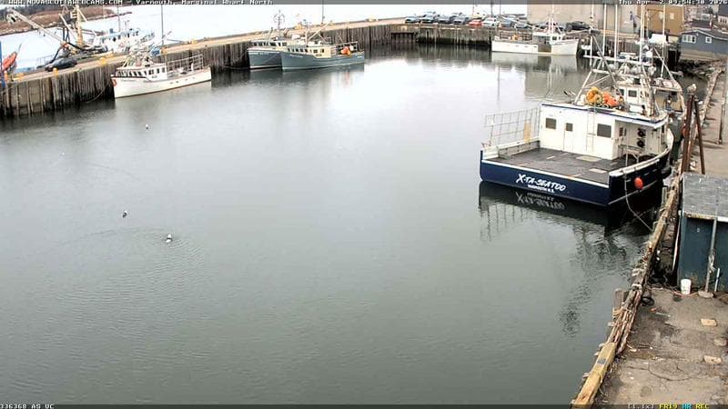 Marginal Wharf North