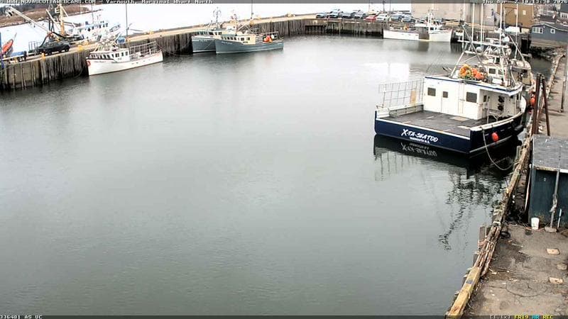 Marginal Wharf North