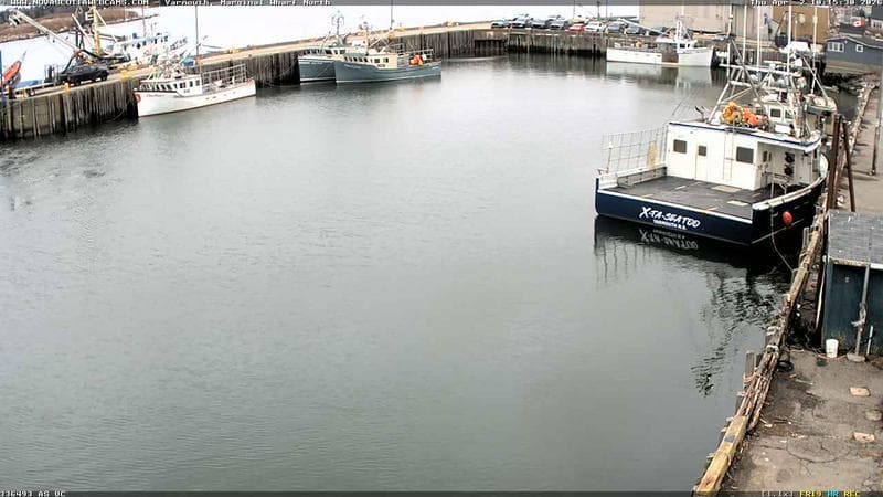 Marginal Wharf North