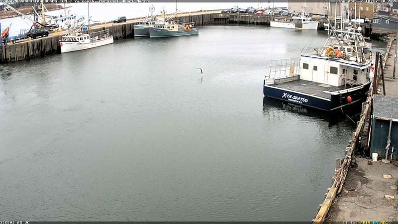 Marginal Wharf North