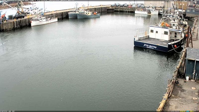 Marginal Wharf North