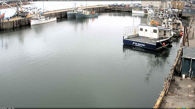 Marginal Wharf North