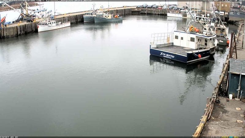 Marginal Wharf North