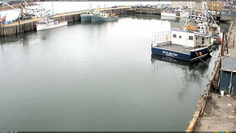 Marginal Wharf North